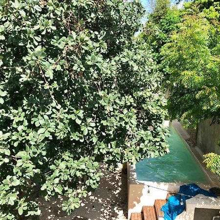 مبيت وإفطار ميريدا Casa "La 44" المظهر الخارجي الصورة
