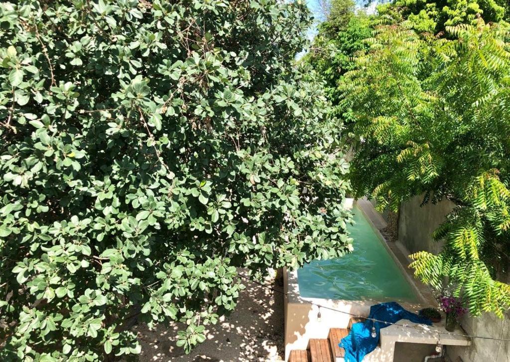 مبيت وإفطار ميريدا Casa "La 44" المظهر الخارجي الصورة